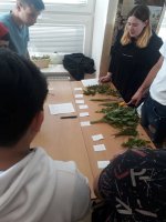 Workshop – pokračovanie vzdelávania mladších žiakov
