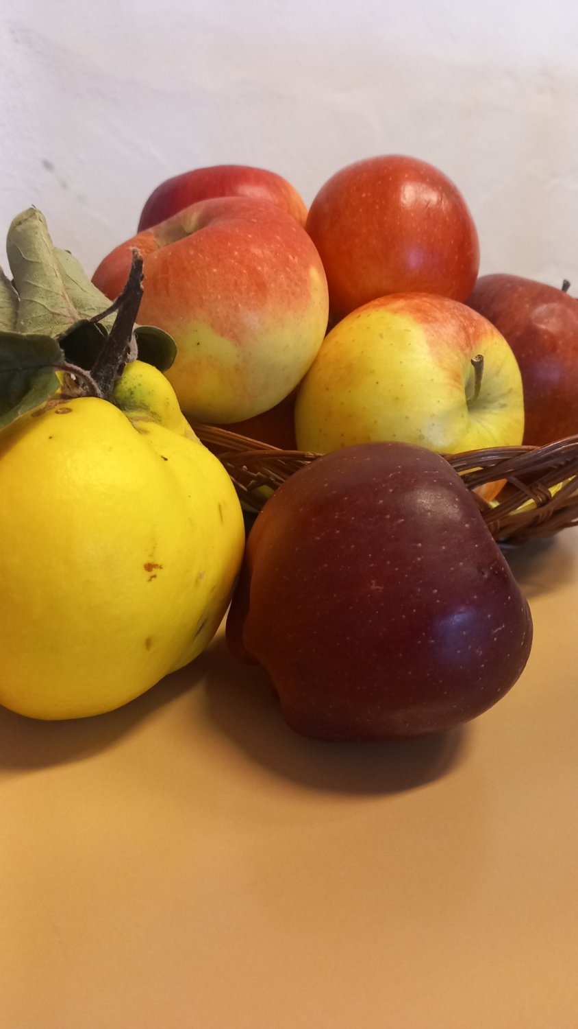 Súťaž - vyhodnotenie