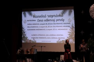 Vianočný medovník