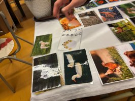 Deň otvorených dverí 2026