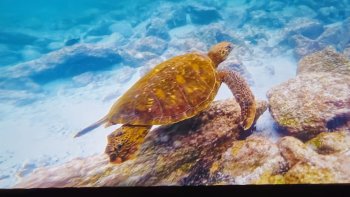 Účasť žiakov na podujatí – Prezentácia krajiny Ekvádor