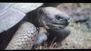 Účasť žiakov na podujatí – Prezentácia krajiny Ekvádor