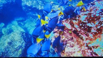 Účasť žiakov na podujatí – Prezentácia krajiny Ekvádor