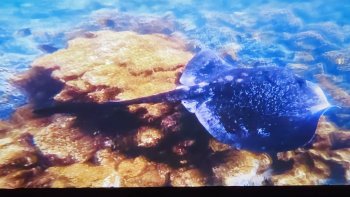 Účasť žiakov na podujatí – Prezentácia krajiny Ekvádor