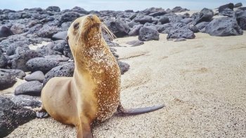 Účasť žiakov na podujatí – Prezentácia krajiny Ekvádor