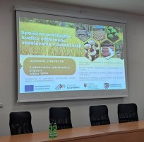 Odborné vzdelávanie – sektor SPPK