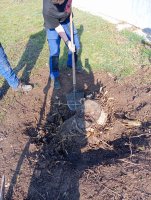 Praktické zručnosti získané na odbornom výcviku