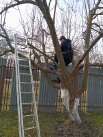 Praktické zručnosti získané na odbornom výcviku