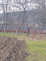 Praktické zručnosti získané na odbornom výcviku