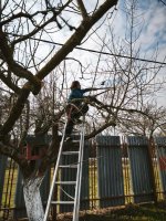 Praktické zručnosti získané na odbornom výcviku