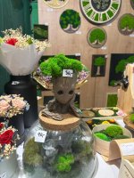 Zážitkové vyučovanie v praxi