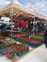 Zážitkové vyučovanie v praxi