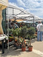 Zážitkové vyučovanie v praxi