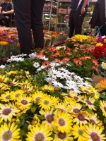 Zážitkové vyučovanie v praxi