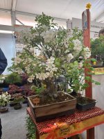 Zážitkové vyučovanie v praxi