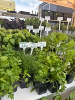 Zážitkové vyučovanie v praxi