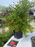 Zážitkové vyučovanie v praxi