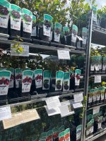 Zážitkové vyučovanie v praxi