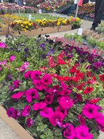 Zážitkové vyučovanie v praxi