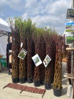 Zážitkové vyučovanie v praxi