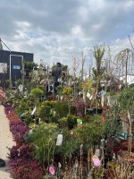 Zážitkové vyučovanie v praxi