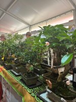 Zážitkové vyučovanie v praxi