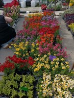 Zážitkové vyučovanie v praxi