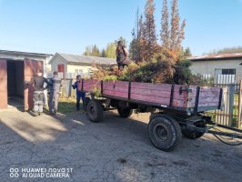 Deň Zeme na našej škole