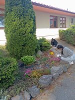 Deň Zeme na našej škole