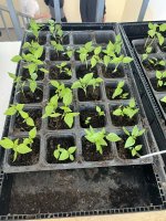 Stretnutie so spolupracujúcimi zamestnávateľmi na našej škole